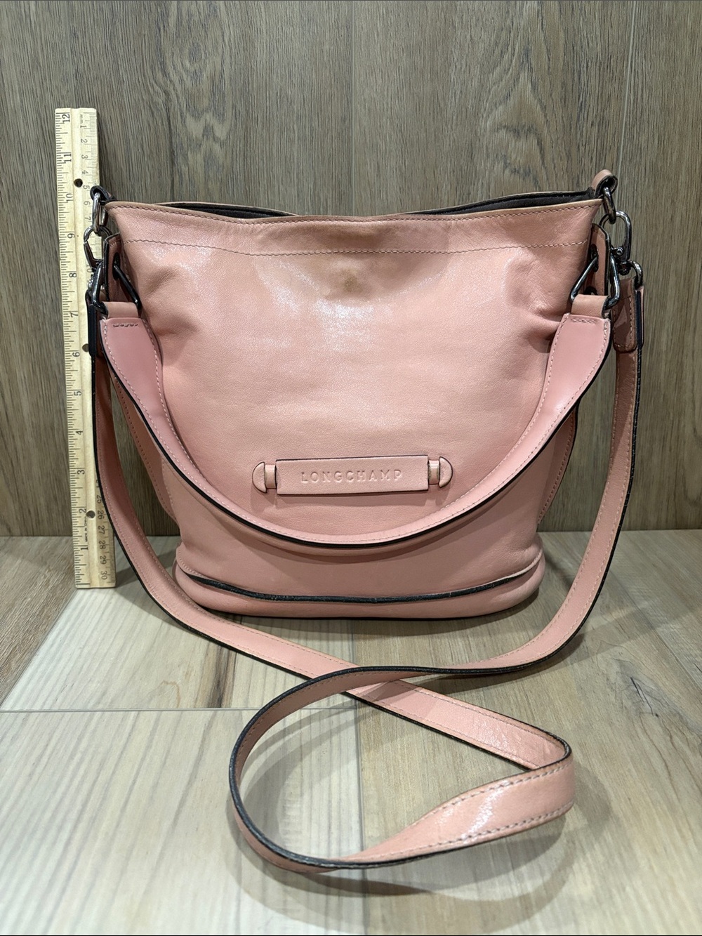 Longchamp Paris Mauritius Dusty Pink Mauve 3D Leather Crossbody Shoulder Hobo - Picture 1 of 14
